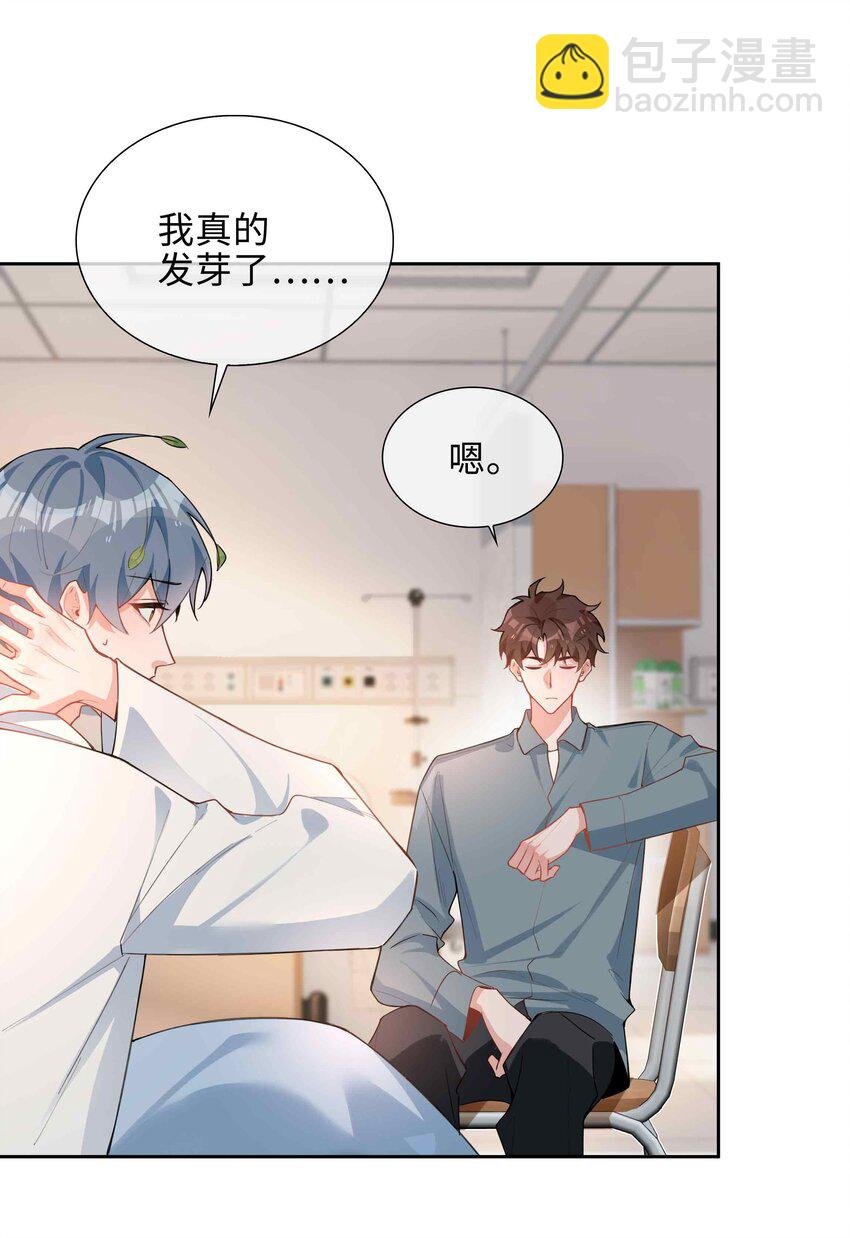 第94话 你是超猛的龙血树！