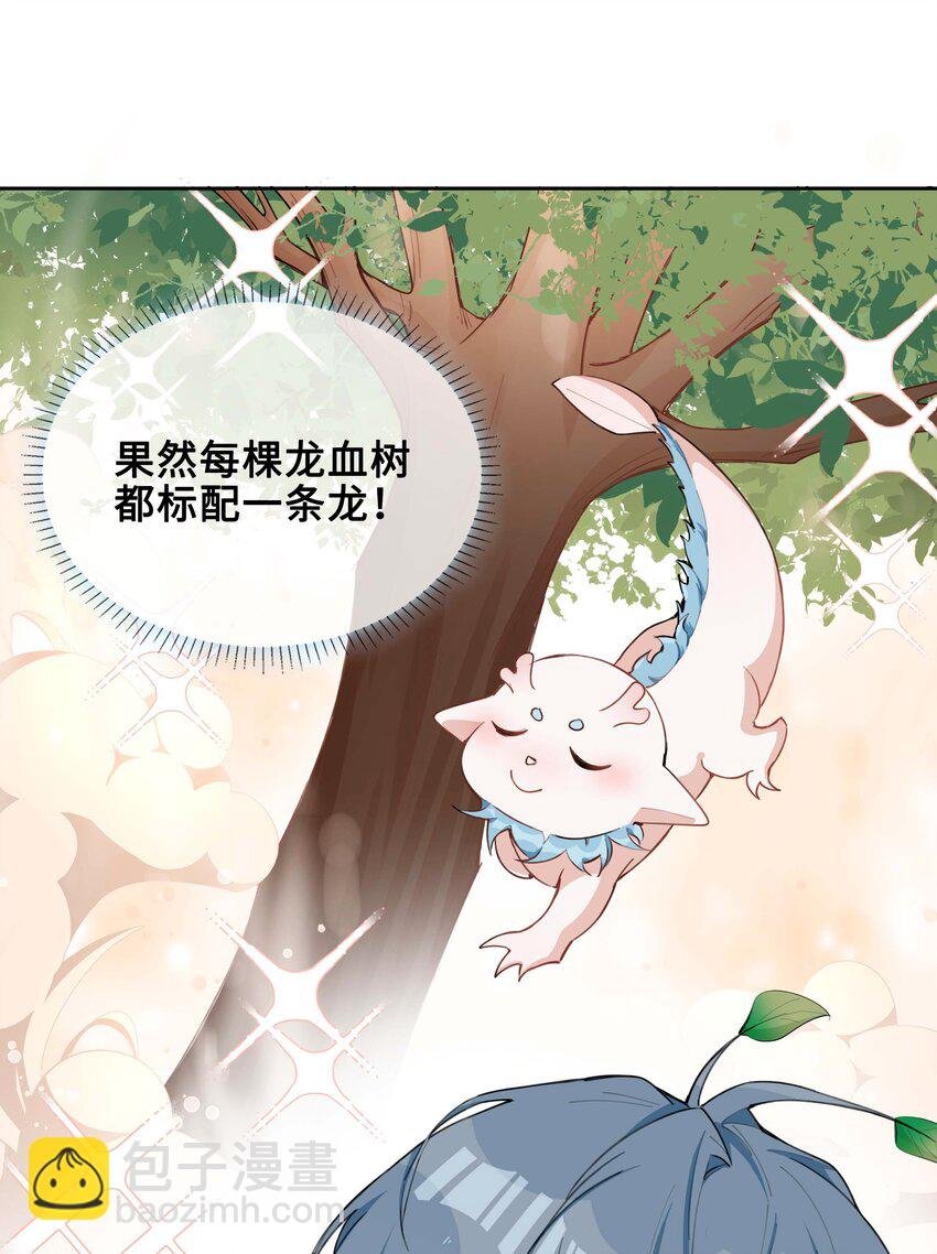 第95话 龙血树都有自己的龙？！