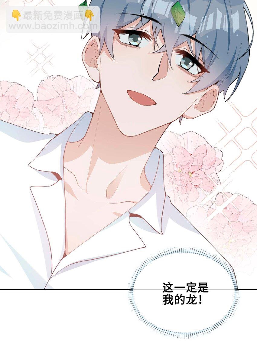 第95话 龙血树都有自己的龙？！
