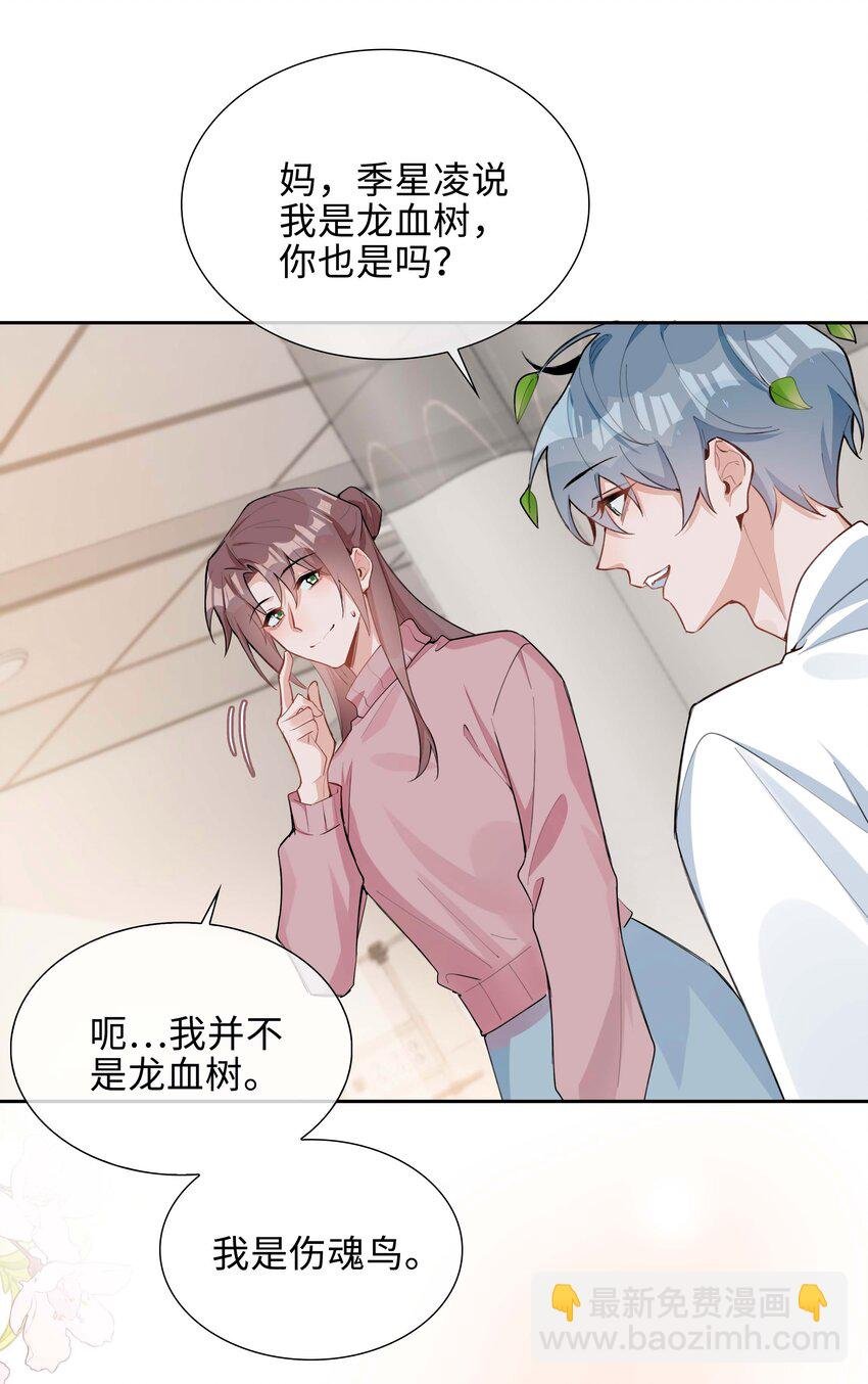 第95话 龙血树都有自己的龙？！