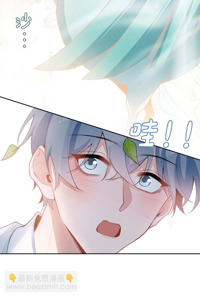 第95话 龙血树都有自己的龙？！