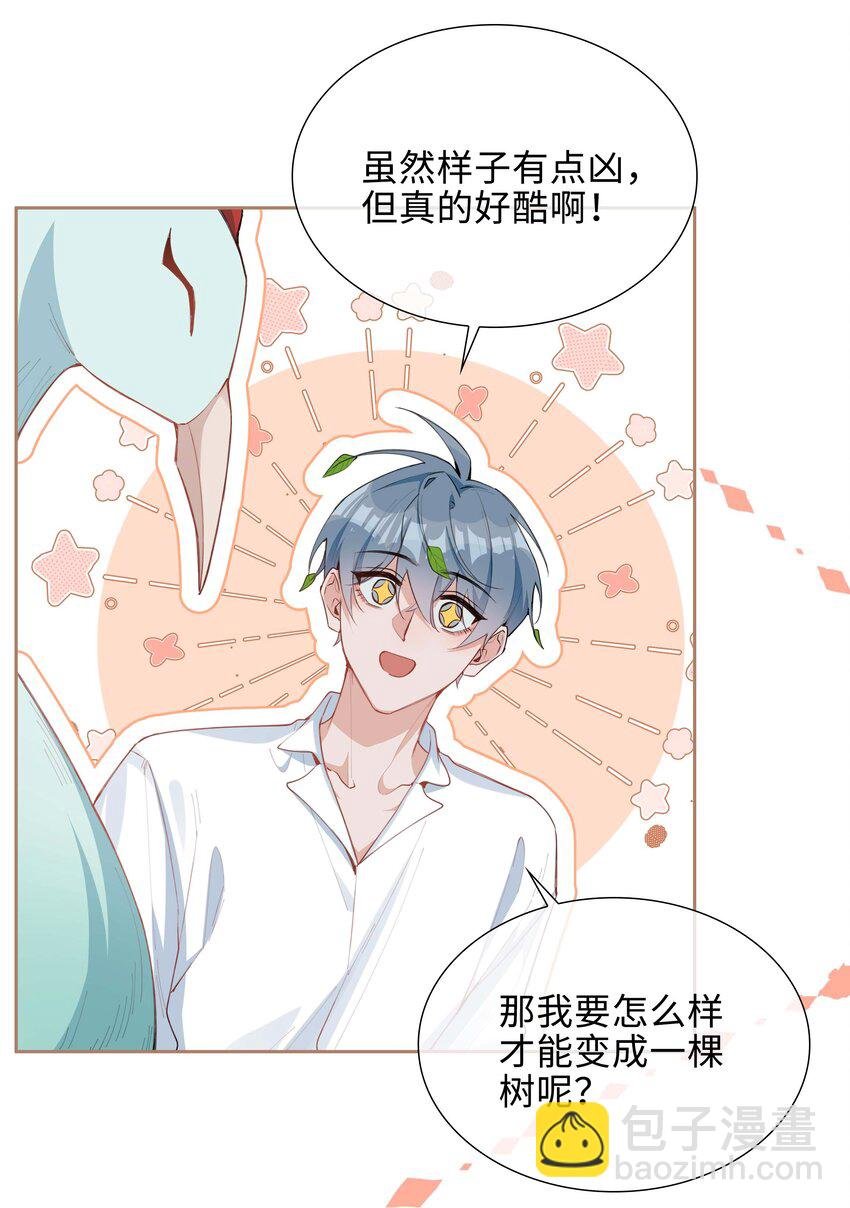 第95话 龙血树都有自己的龙？！