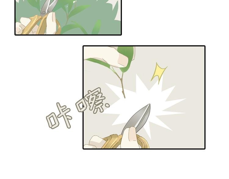 第七章（三） 神秘公子