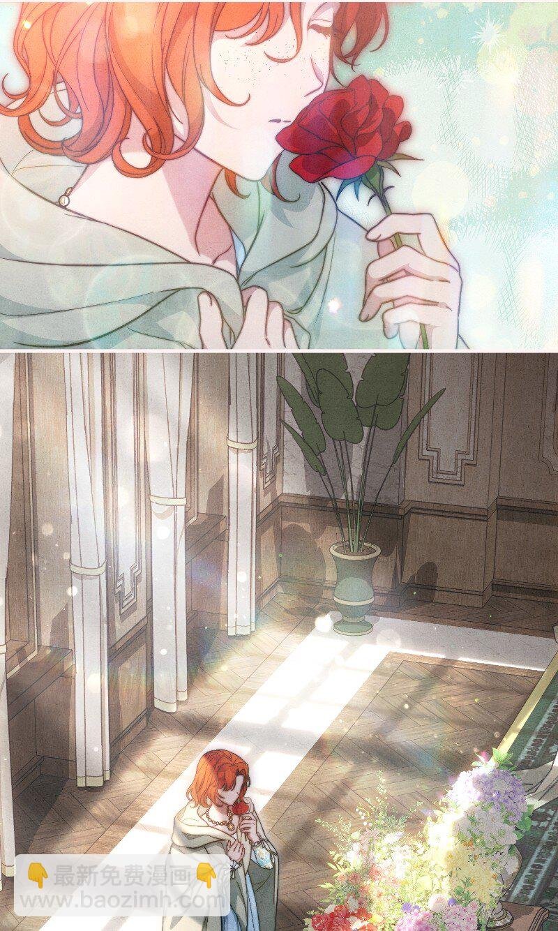 100 要看星星吗？