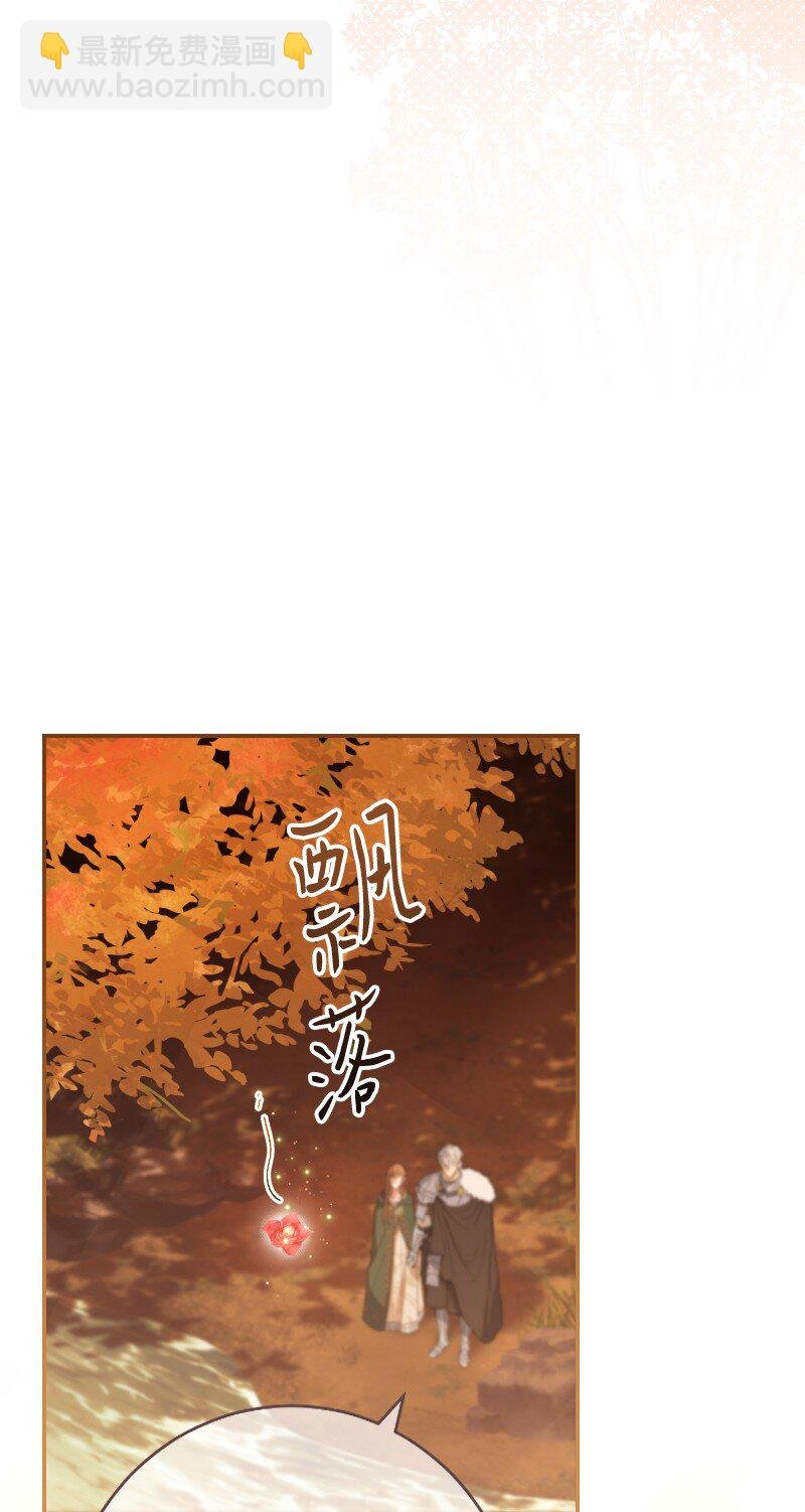22 选择权