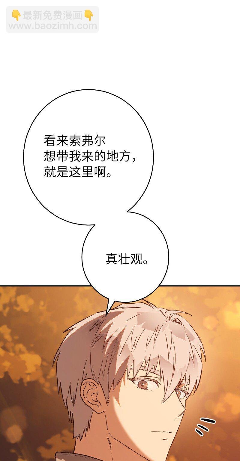 22 选择权