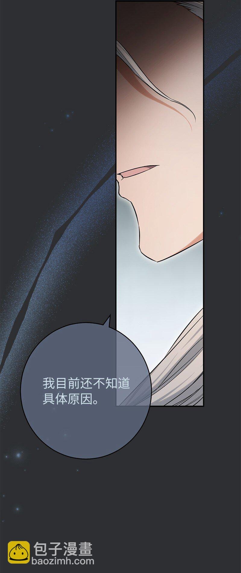26 二王子的身世