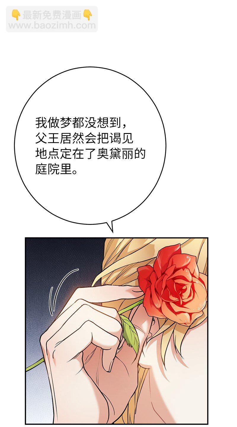 26 二王子的身世