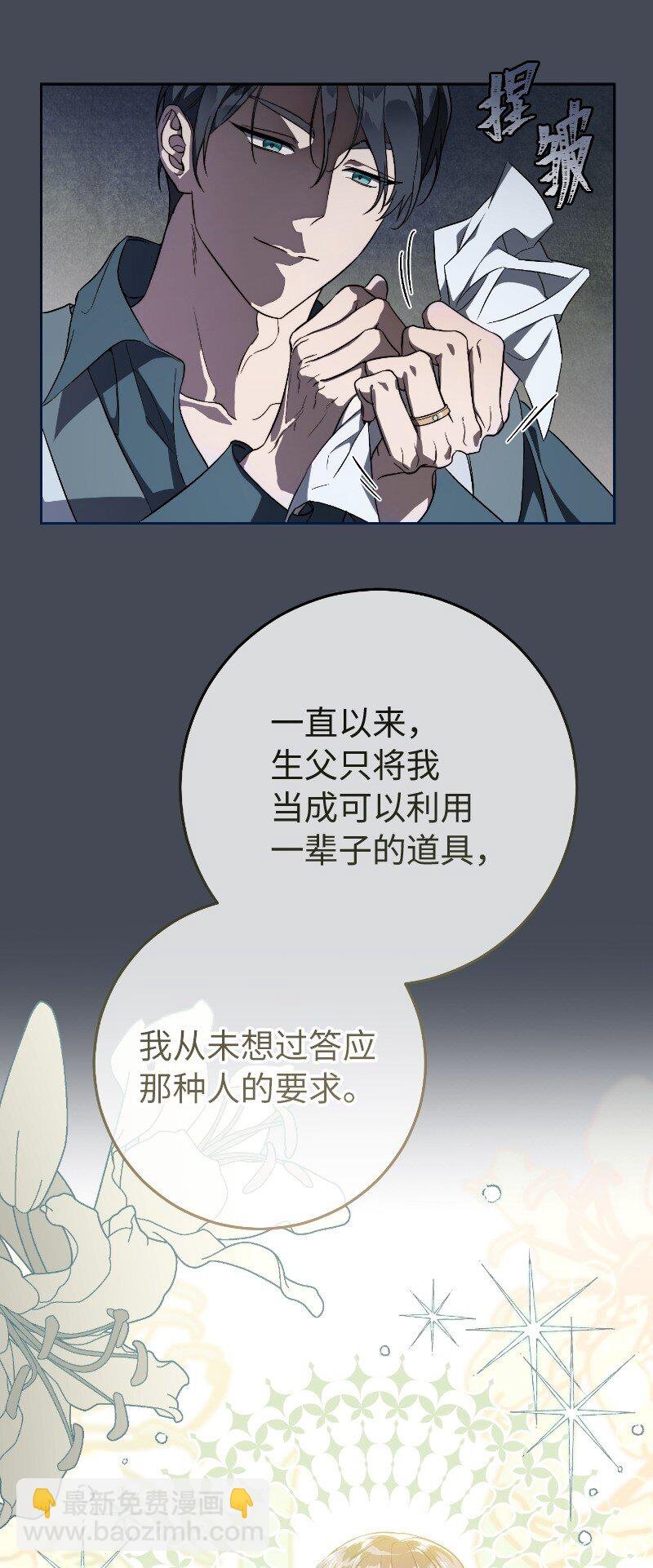 71 达沃维尔的自述