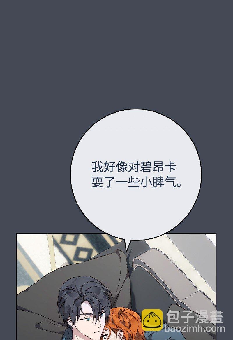 71 达沃维尔的自述