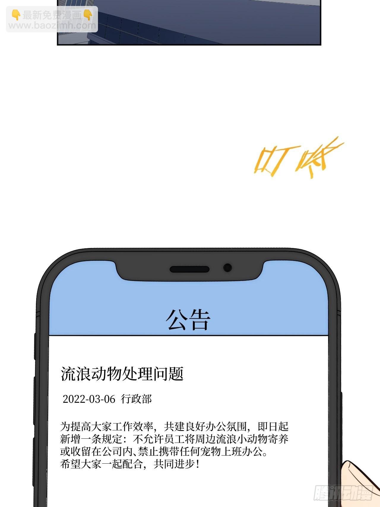 2.我叫肖秘书，是一只仓鼠