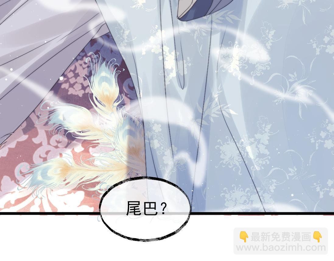 第15话 捋师尊的尾巴尖儿