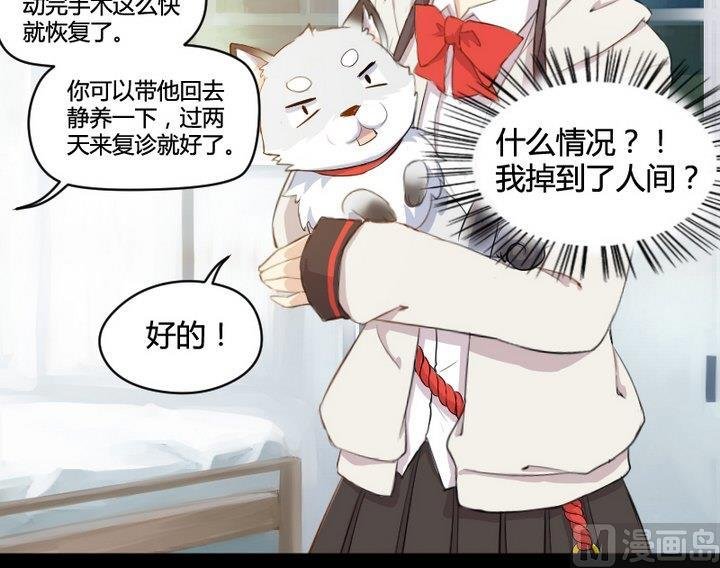 第1话 生肖狱犬