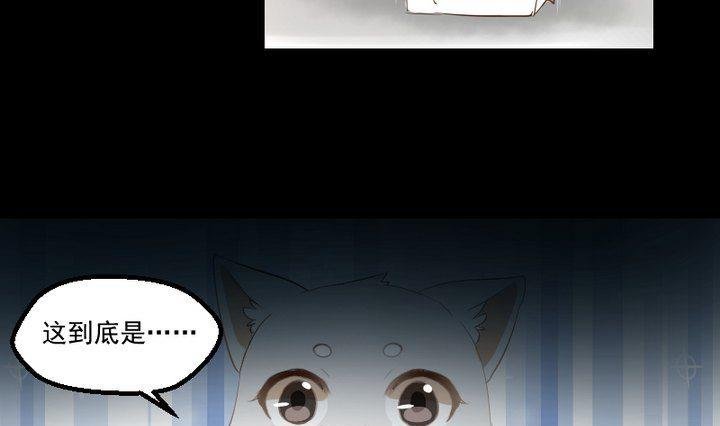 第16话 九狸的过去