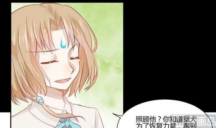 第29话 心疼肉丸！