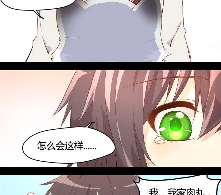 第2话 肉丸说话 了？！