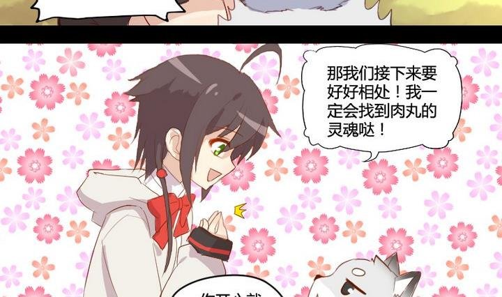 第2话 肉丸说话 了？！