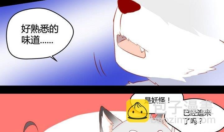 第2话 肉丸说话 了？！