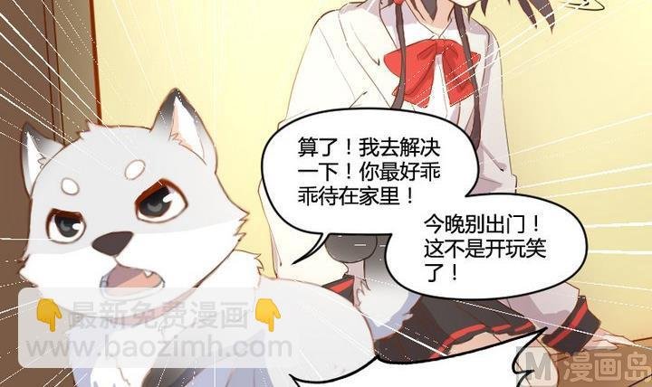 第2话 肉丸说话 了？！