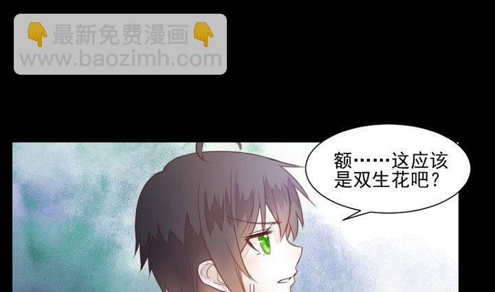 第38话 双生妖花