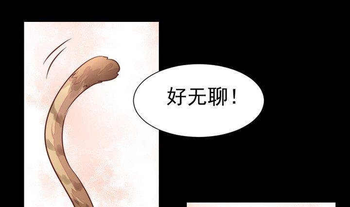 第44话 猫妖