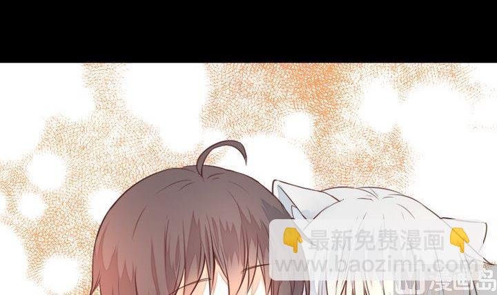 第44话 猫妖