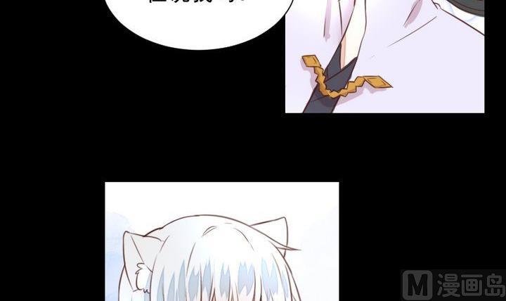 第44话 猫妖