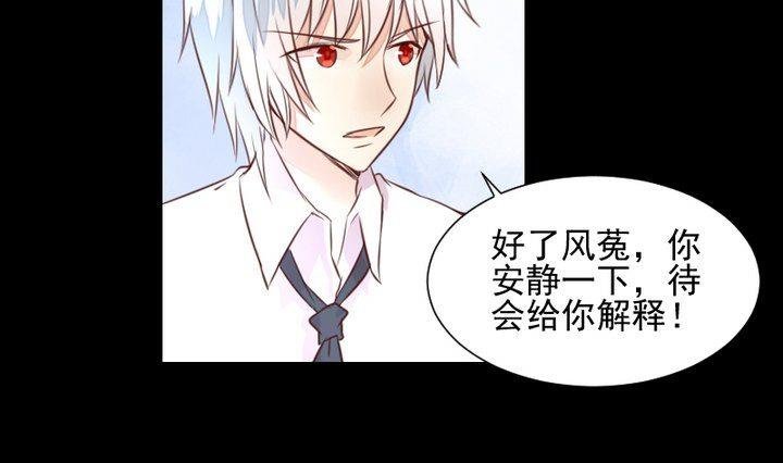 第44话 猫妖