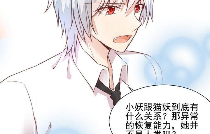 第44话 猫妖