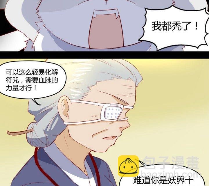 第7话 我叫毛小妖