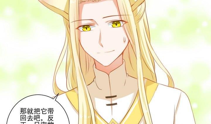第64话 狐妖族