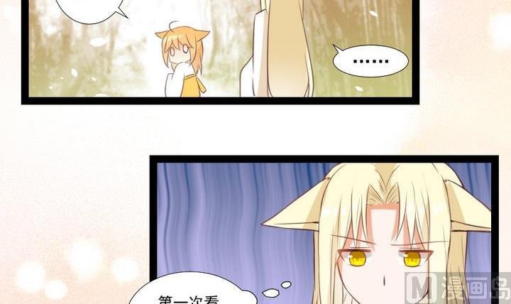 第73话 我是狡猾的狐狸