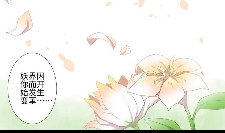 第104话 天空下的小小倔强