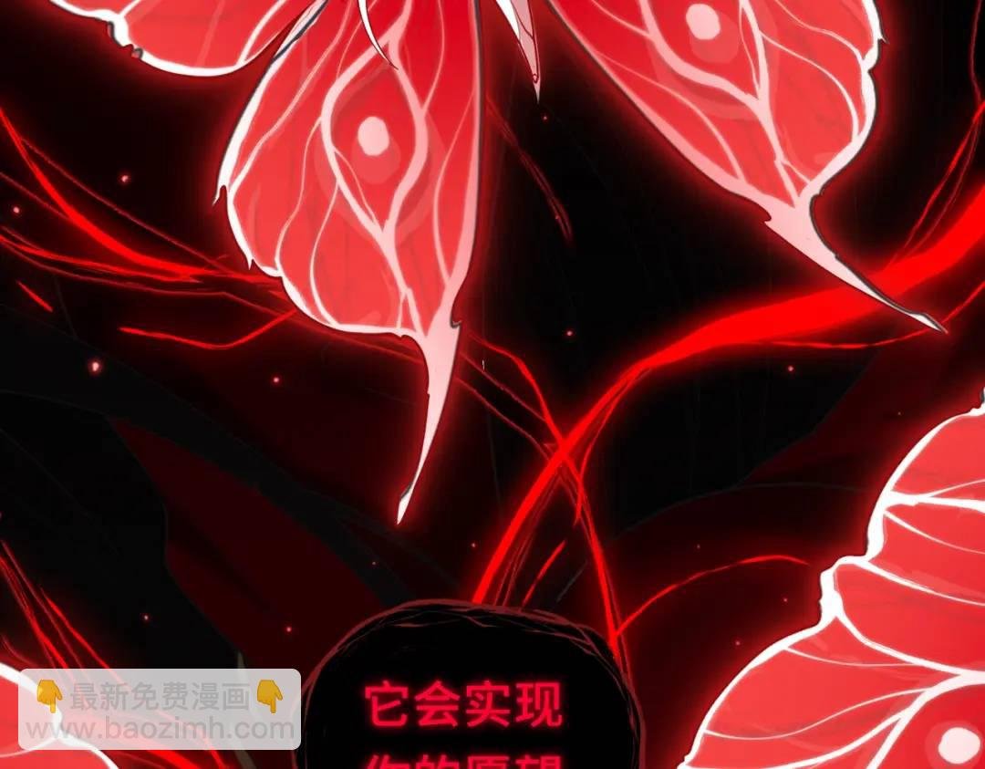 第11话 化蝶偿夙愿