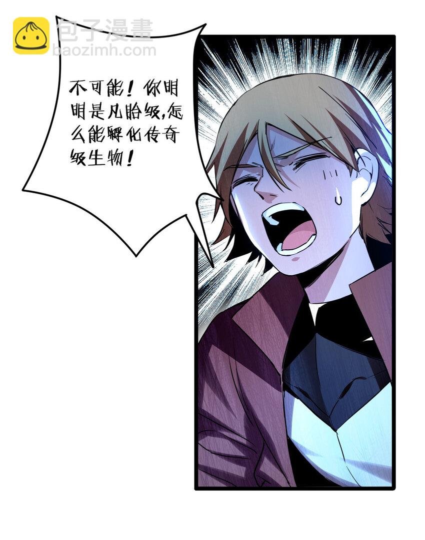 11 传奇伴生宠