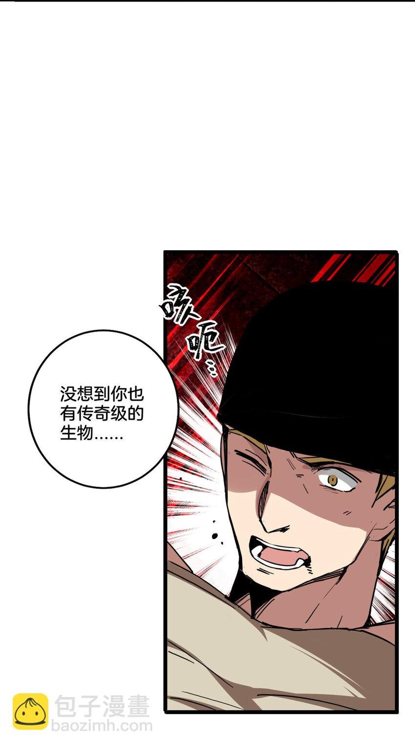 11 传奇伴生宠