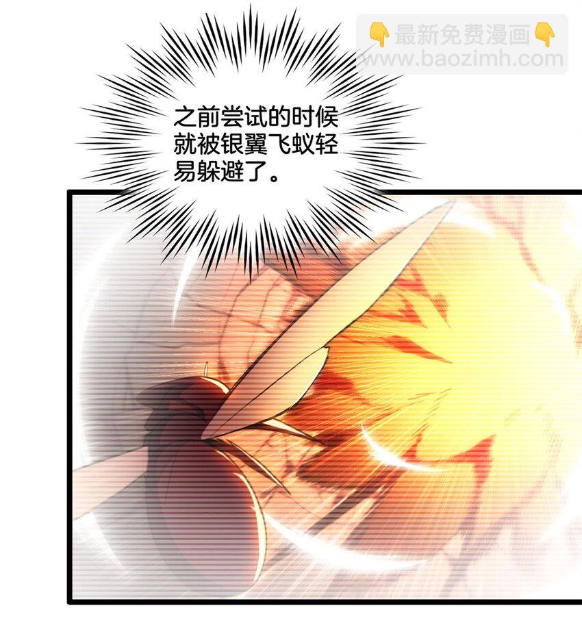 24 枯骨掌进化