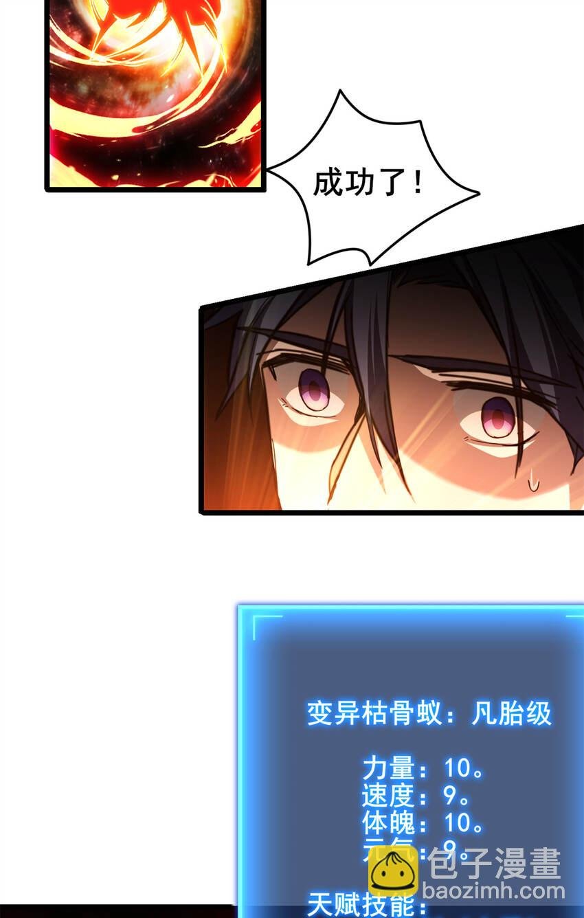 28 融合伴生宠