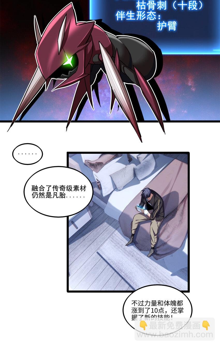28 融合伴生宠