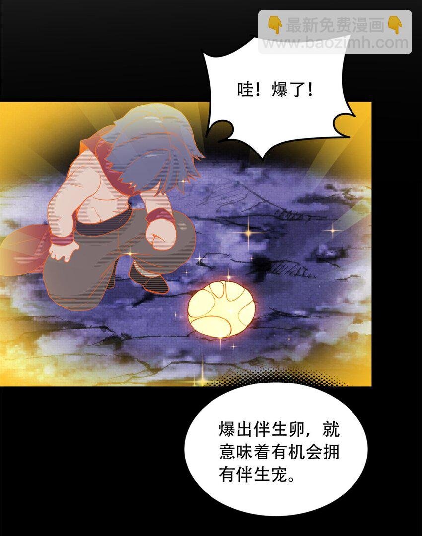 04 孵化伴生卵