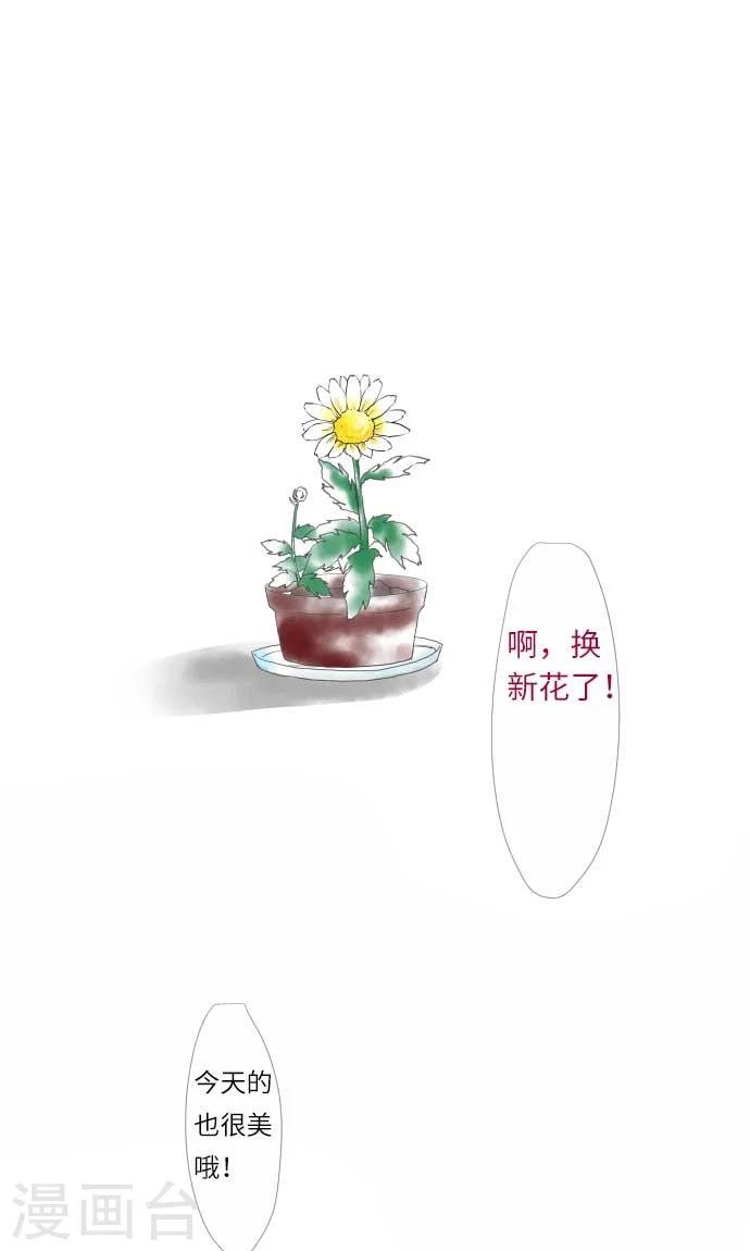 第7话 美丽绽放的花朵