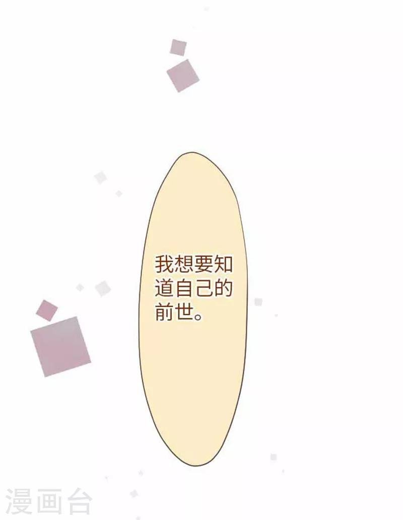 第71话 本命和义理