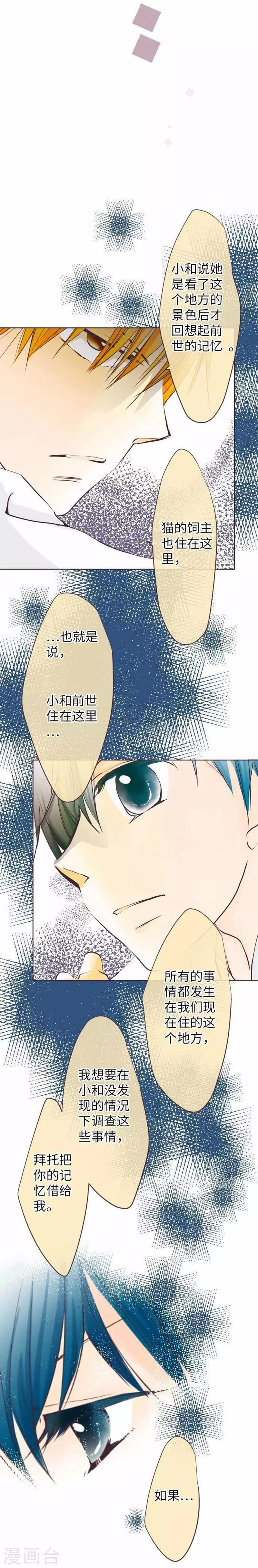 第71话 本命和义理