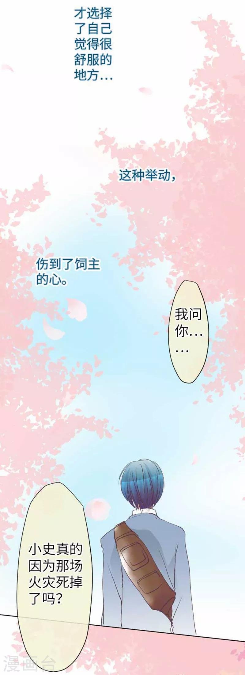 第82话 猫和饲主