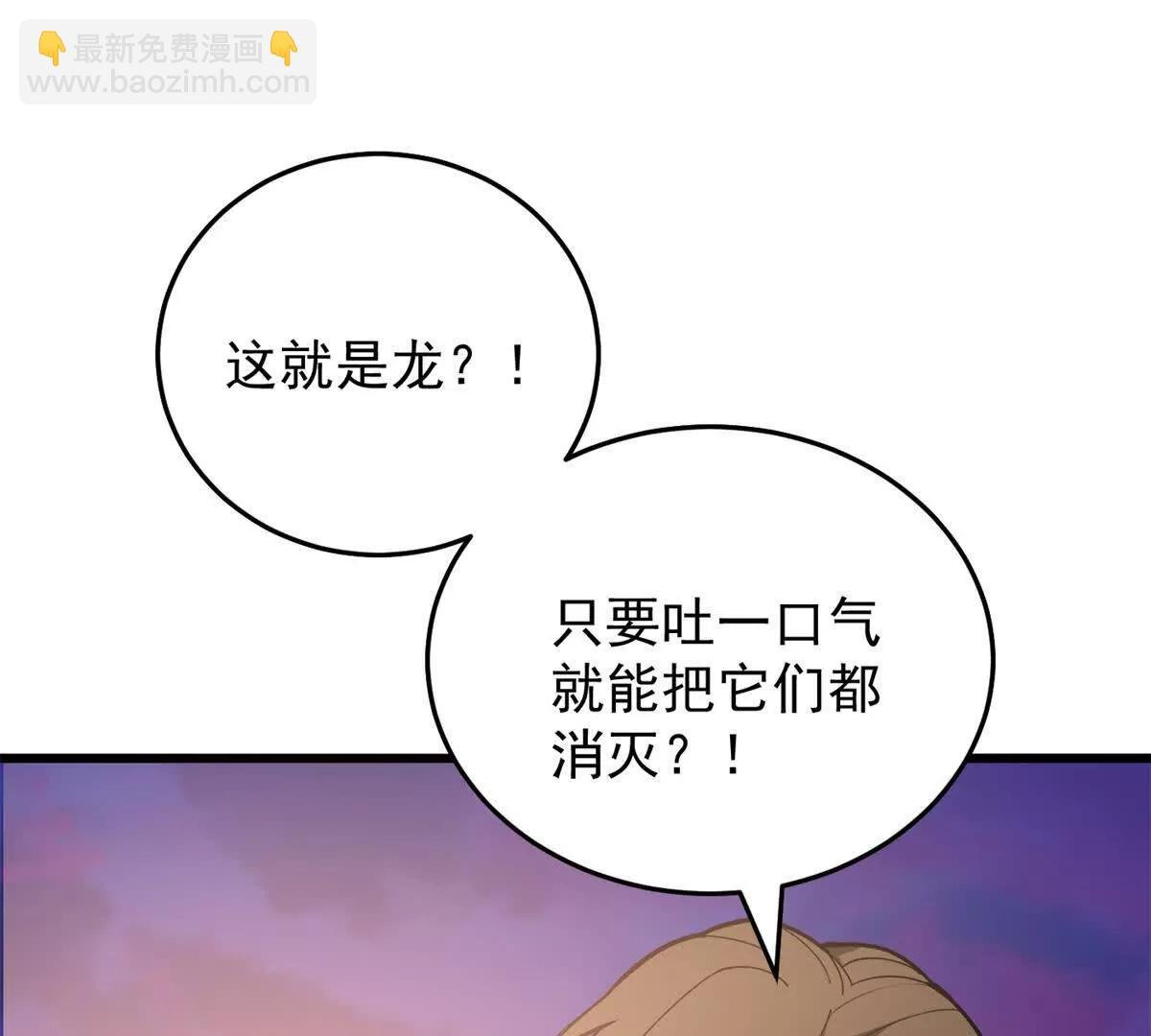 117 飞龙