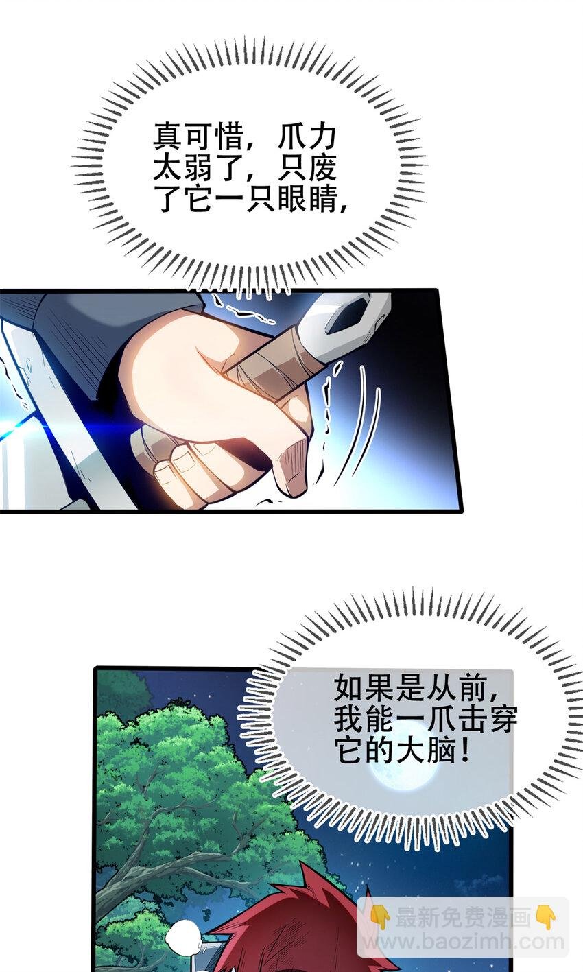 005 黑森林魔狼