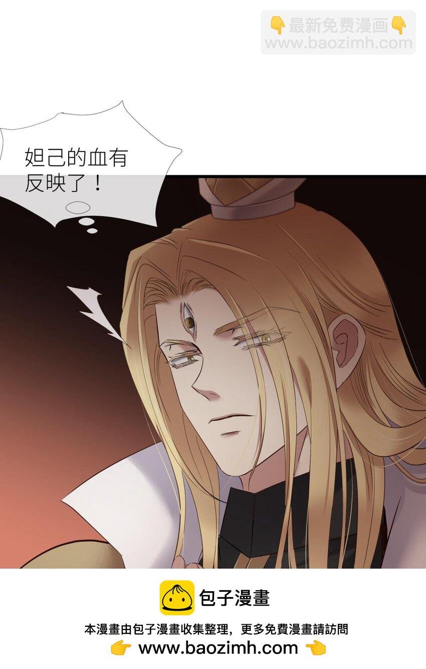 48 崩坏20%