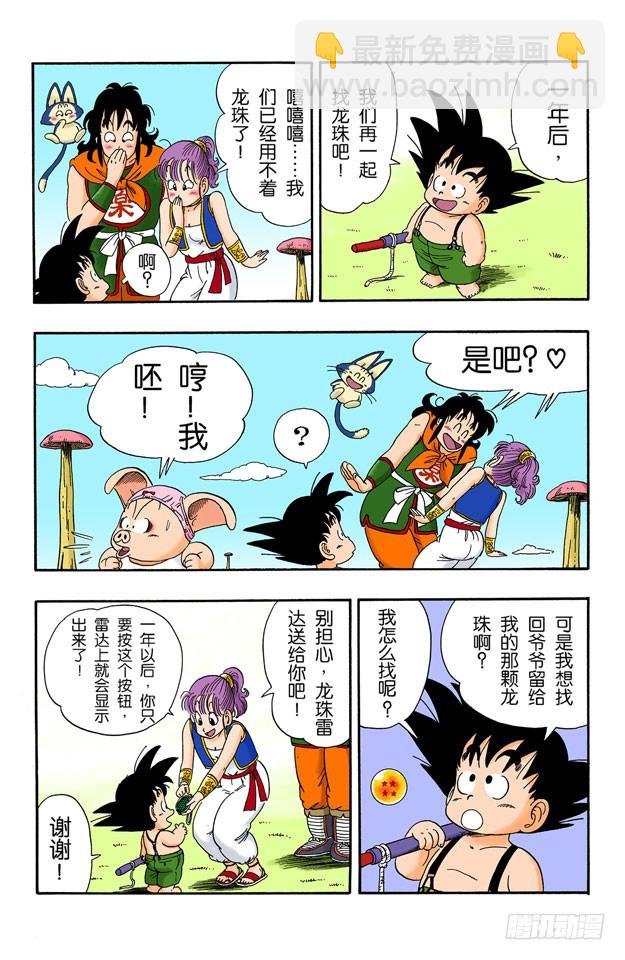 龙珠队解散