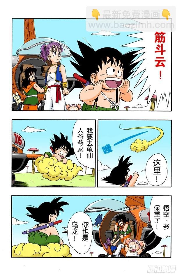 龙珠队解散