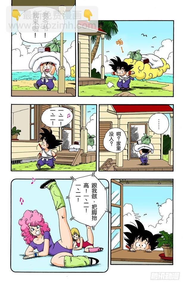龟仙人的学费